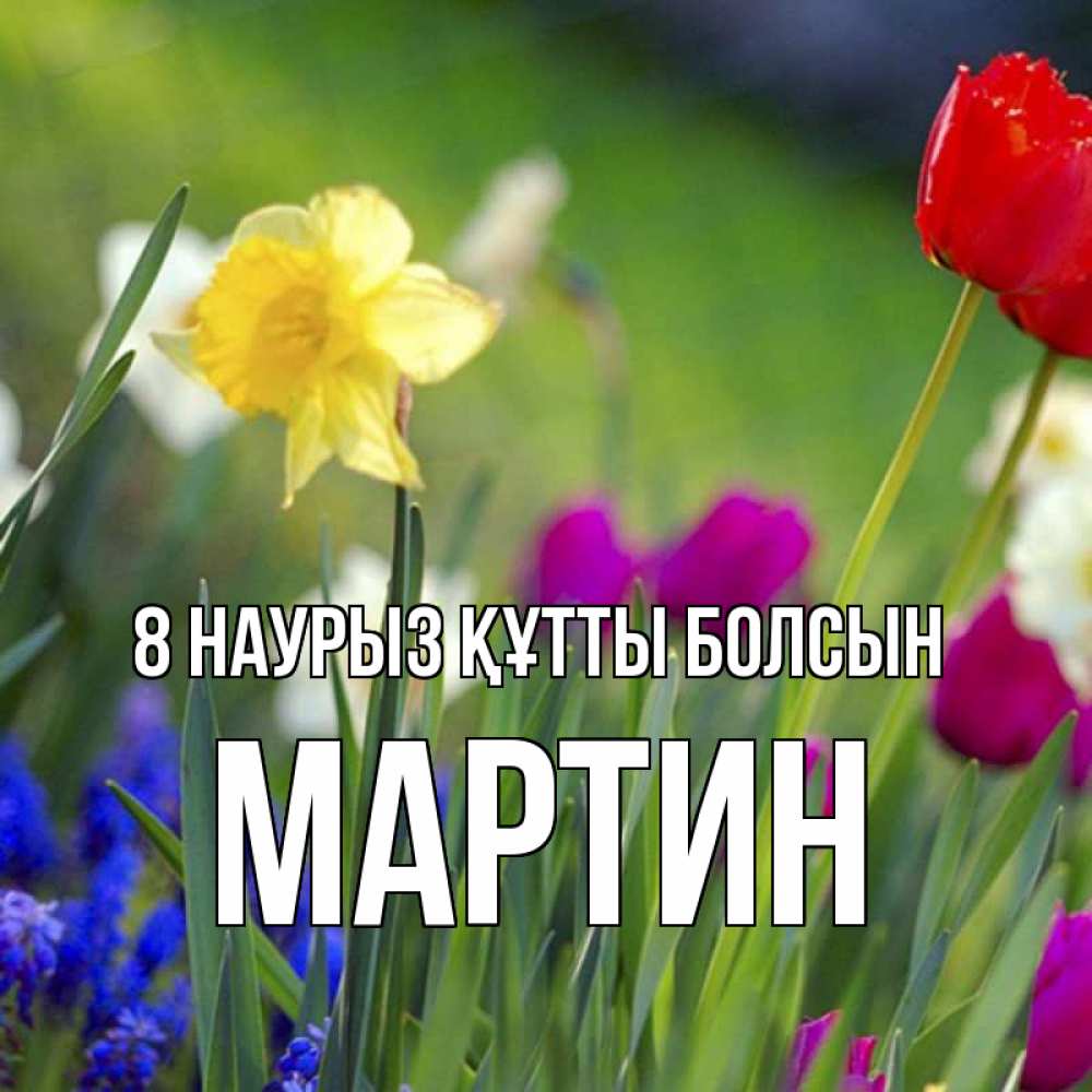 Күн сайын ашық хат с именем, Мартин 8 наурыз құтты болсын международный женский день 3 Онлайн тегін жүктеп алу тілектері бар керемет карта 