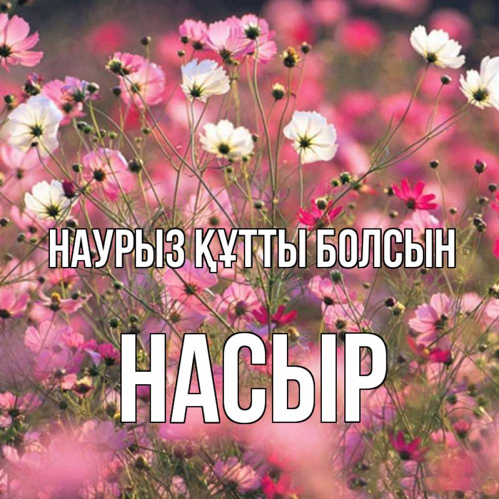 Күн сайын ашық хат с именем, НАСЫР Наурыз құтты болсын красиво 1 Онлайн тегін жүктеп алу тілектері бар керемет карта 