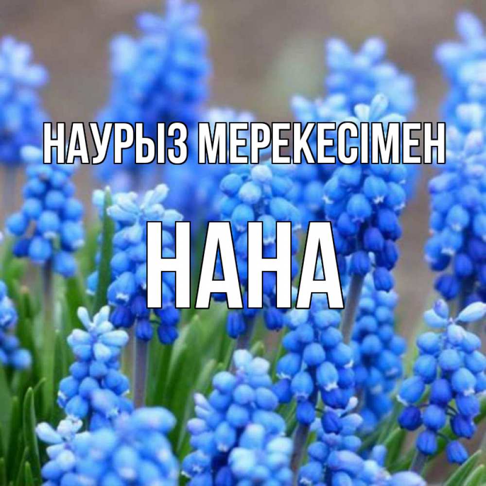 Күн сайын ашық хат с именем, Нана Наурыз мерекесімен Поздравительная открытка для женщин с цветами на праздничную дату Онлайн тегін жүктеп алу тілектері бар керемет карта 