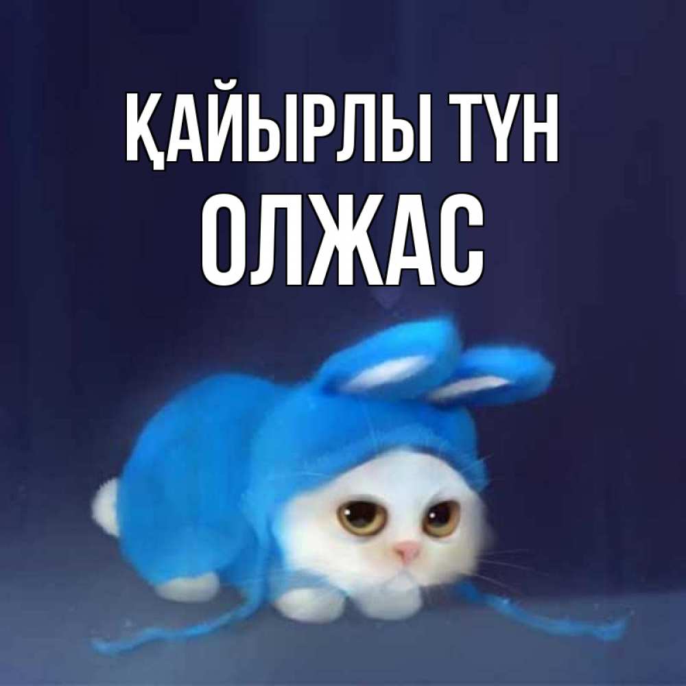 Күн сайын ашық хат с именем, ОЛЖАС Қайырлы түн кот в голубом костюме кролика с ушками Онлайн тегін жүктеп алу тілектері бар керемет карта 