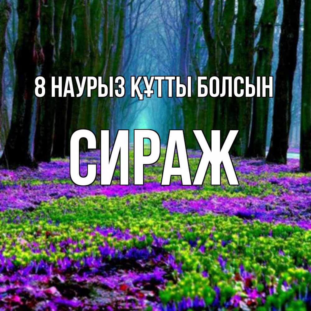 Күн сайын ашық хат с именем, СИРАЖ 8 наурыз құтты болсын фиолетовые цветы в лесу 1 Онлайн тегін жүктеп алу тілектері бар керемет карта 