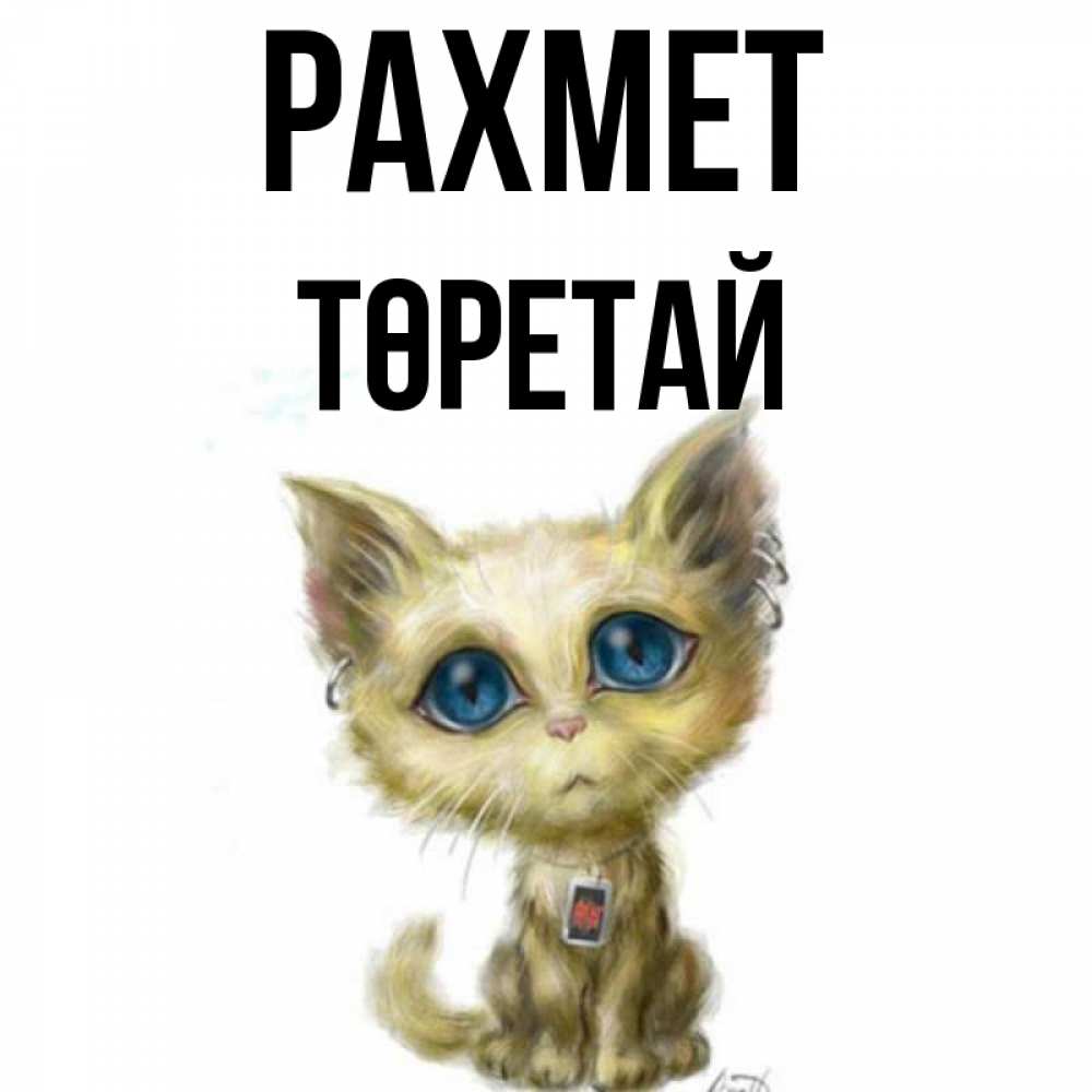 Күн сайын ашық хат с именем, Төретай рахмет рисованный кот благодарит вас Онлайн тегін жүктеп алу тілектері бар керемет карта 