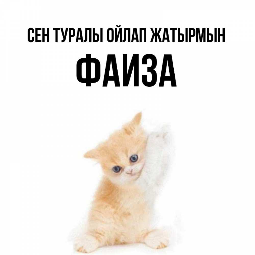 Күн сайын ашық хат с именем, Фаиза Сен туралы ойлап жатырмын зверушки и милота Онлайн тегін жүктеп алу тілектері бар керемет карта 