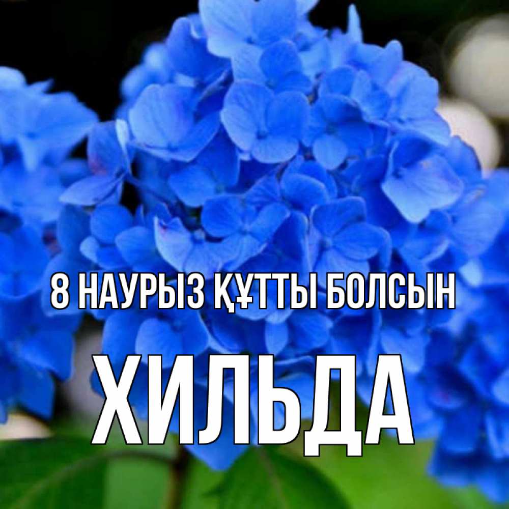 Күн сайын ашық хат с именем, Хильда 8 наурыз құтты болсын синие цветы Онлайн тегін жүктеп алу тілектері бар керемет карта 