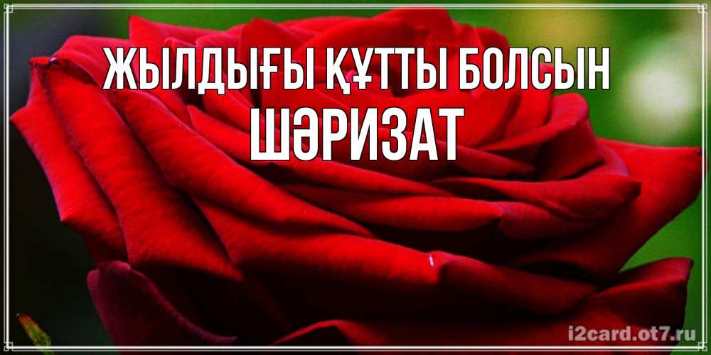 Күн сайын ашық хат с именем, ШӘРИЗАТ Жылдығы құтты болсын розочка очень красивая Онлайн тегін жүктеп алу тілектері бар керемет карта 