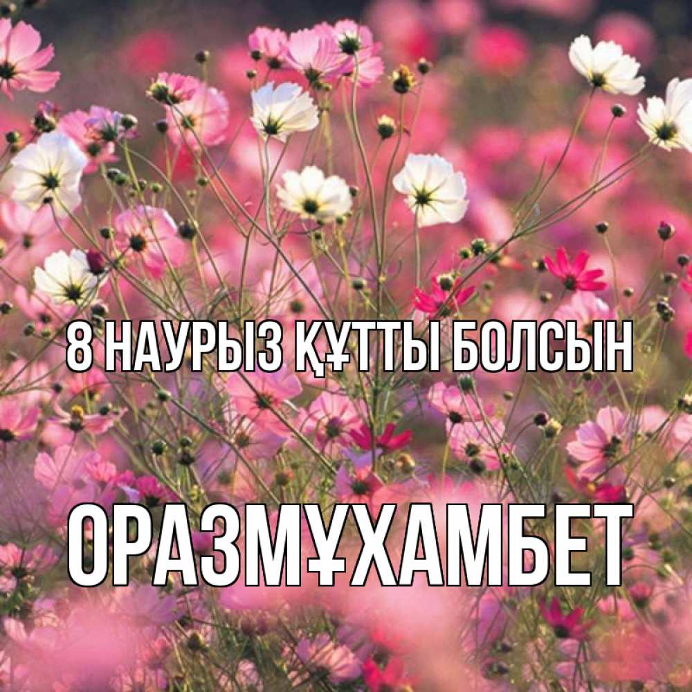Күн сайын ашық хат с именем, ОРАЗМҰХАМБЕТ 8 наурыз құтты болсын красиво 1 Онлайн тегін жүктеп алу тілектері бар керемет карта 