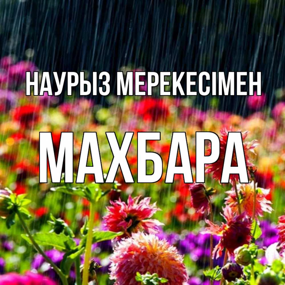 Күн сайын ашық хат с именем, МАХБАРА Наурыз мерекесімен цветы под дождиком к международному женскому дню Онлайн тегін жүктеп алу тілектері бар керемет карта 