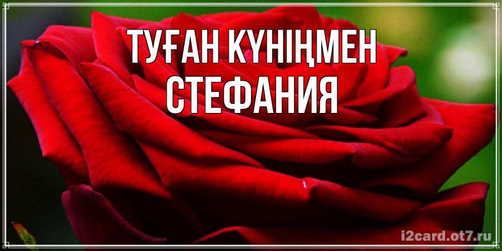 Күн сайын ашық хат с именем, Стефания Туған күніңмен розочка очень красивая Онлайн тегін жүктеп алу тілектері бар керемет карта 