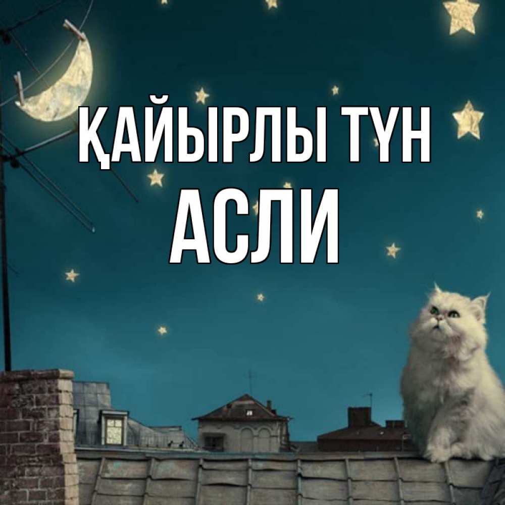 Күн сайын ашық хат с именем, АСЛИ Қайырлы түн белый кот сидит на крыше Онлайн тегін жүктеп алу тілектері бар керемет карта 
