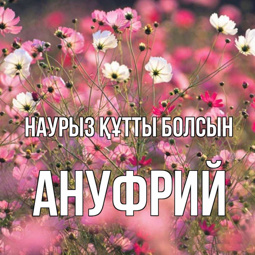 Күн сайын ашық хат с именем, Ануфрий Наурыз құтты болсын красиво 1 Онлайн тегін жүктеп алу тілектері бар керемет карта 