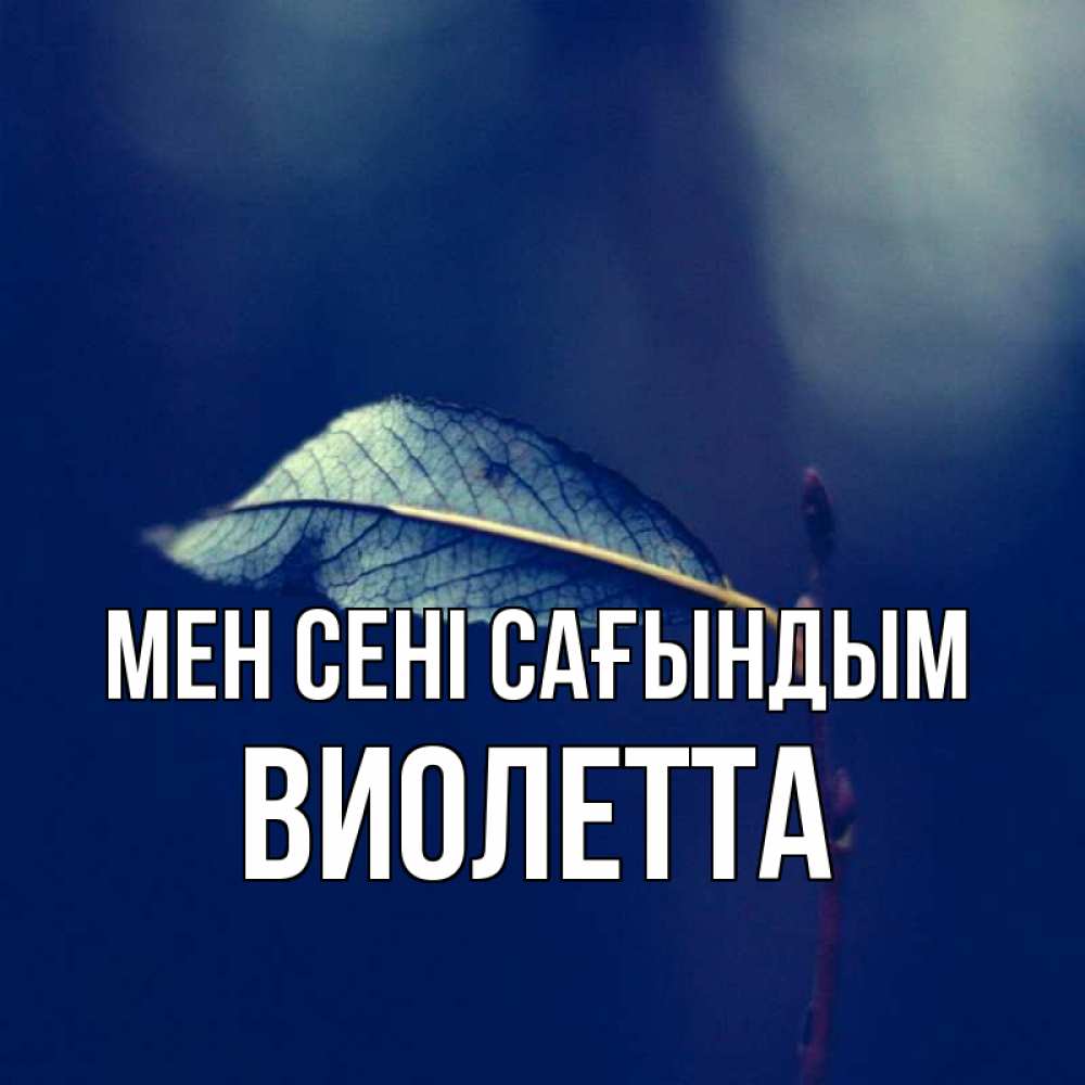 Күн сайын ашық хат с именем, Виолетта Мен сені сағындым одна ветка 1 Онлайн тегін жүктеп алу тілектері бар керемет карта 