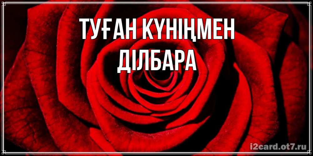 Күн сайын ашық хат с именем, ДІЛБАРА Туған күніңмен алая роза Онлайн тегін жүктеп алу тілектері бар керемет карта 