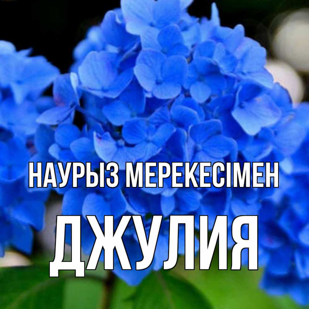 Күн сайын ашық хат с именем, Джулия Наурыз мерекесімен синие цветы Онлайн тегін жүктеп алу тілектері бар керемет карта 