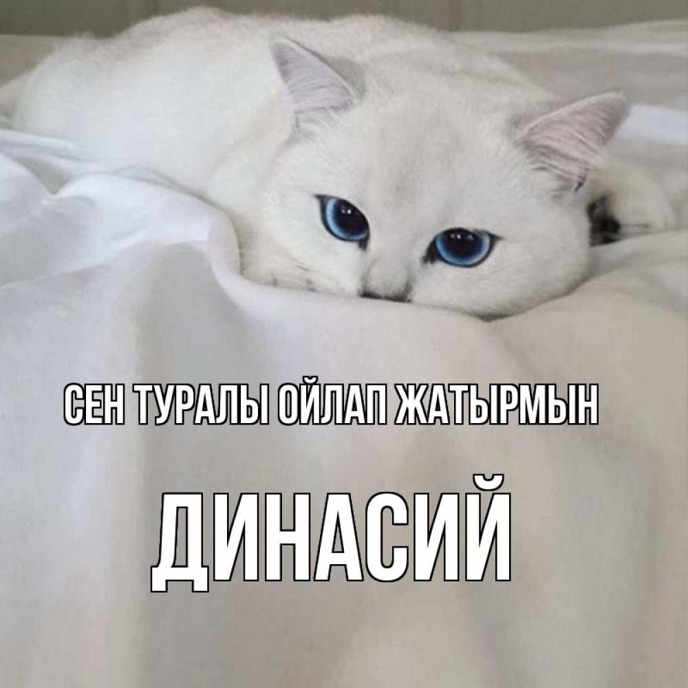 Күн сайын ашық хат с именем, Динасий Сен туралы ойлап жатырмын я очень по тебе скучаю и тоскую Онлайн тегін жүктеп алу тілектері бар керемет карта 