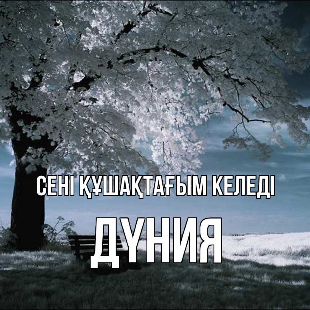 Күн сайын ашық хат с именем, ДҮНИЯ сені құшақтағым келеді дерево Онлайн тегін жүктеп алу тілектері бар керемет карта 