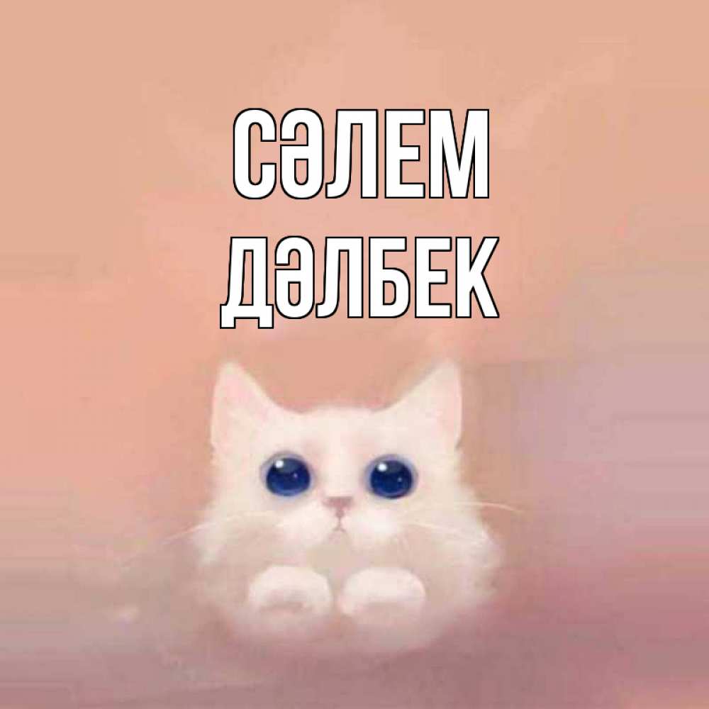 Күн сайын ашық хат с именем, Дәлбек Сәлем котик белый в полете Онлайн тегін жүктеп алу тілектері бар керемет карта 