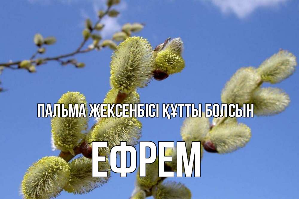 Күн сайын ашық хат с именем, Ефрем Пальма жексенбісі құтты болсын верба Онлайн тегін жүктеп алу тілектері бар керемет карта 