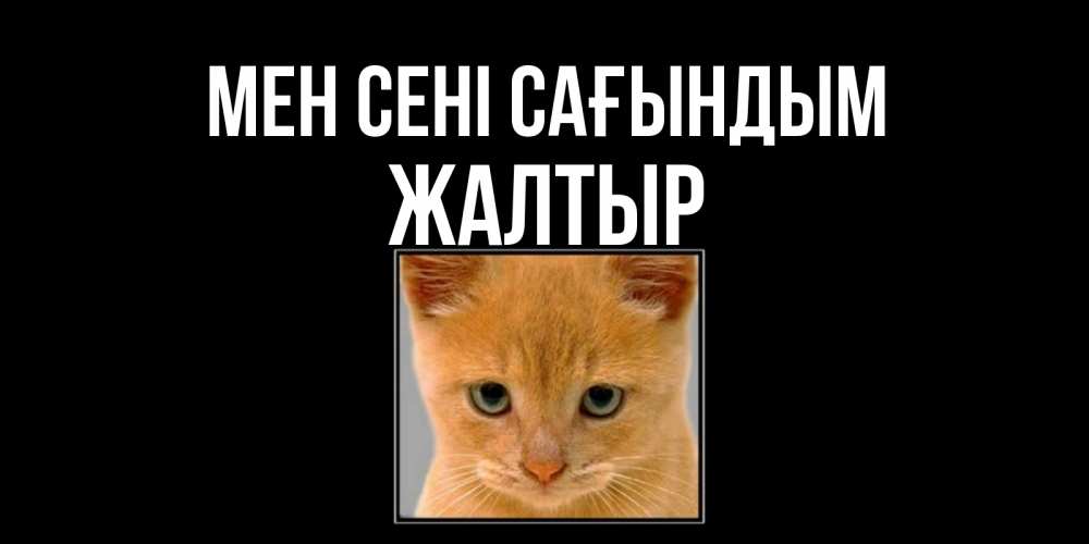 Күн сайын ашық хат с именем, Жалтыр Мен сені сағындым открытки рыжий котенок скучает по тебе Онлайн тегін жүктеп алу тілектері бар керемет карта 