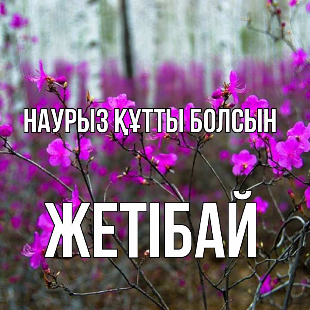 Күн сайын ашық хат с именем, Жетібай Наурыз құтты болсын дикие цветы Онлайн тегін жүктеп алу тілектері бар керемет карта 
