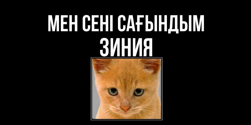Күн сайын ашық хат с именем, ЗИНИЯ Мен сені сағындым открытки рыжий котенок скучает по тебе Онлайн тегін жүктеп алу тілектері бар керемет карта 