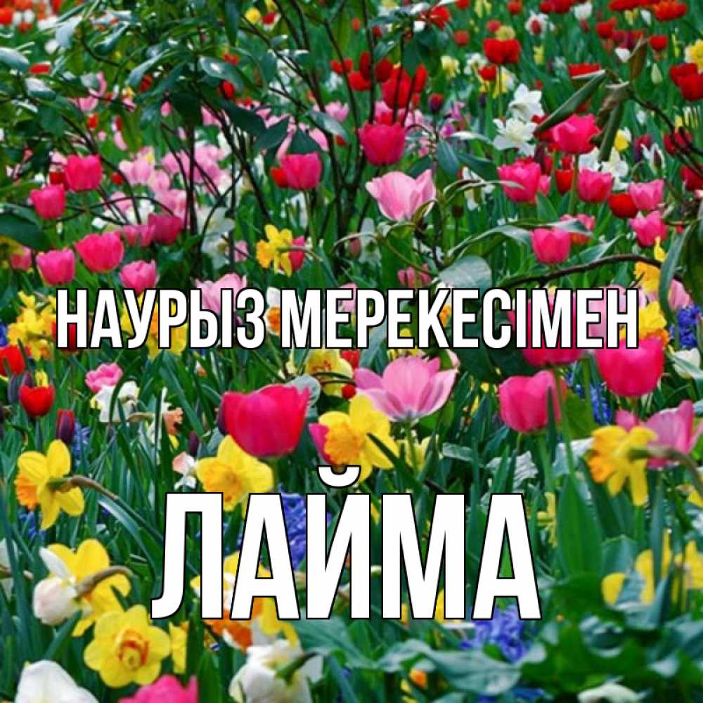 Күн сайын ашық хат с именем, Лайма Наурыз мерекесімен с наурызом праздником весны поздравления для женщины Онлайн тегін жүктеп алу тілектері бар керемет карта 