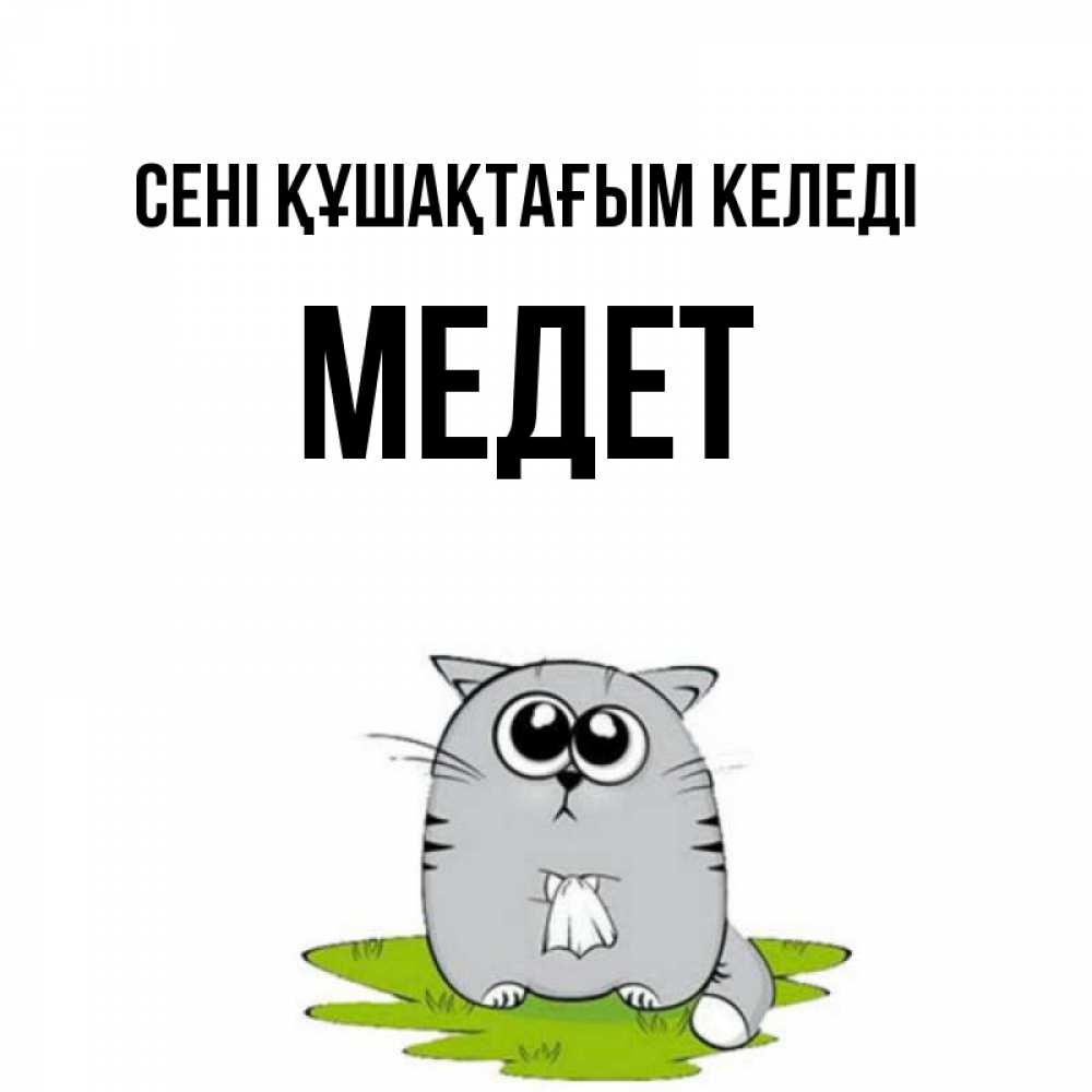 Күн сайын ашық хат с именем, МЕДЕТ сені құшақтағым келеді котик теребит платочек сидя на травке Онлайн тегін жүктеп алу тілектері бар керемет карта 