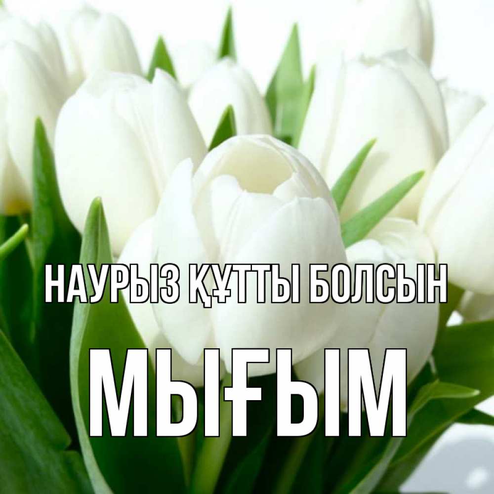 Күн сайын ашық хат с именем, МЫҒЫМ Наурыз құтты болсын цветы Онлайн тегін жүктеп алу тілектері бар керемет карта 