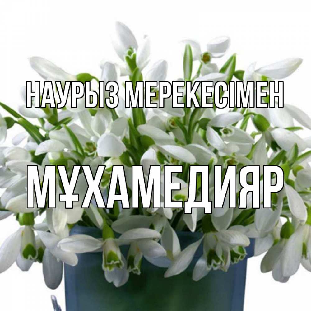 Күн сайын ашық хат с именем, МҰХАМЕДИЯР Наурыз мерекесімен цветы к наурызу новый год в Казахстане Онлайн тегін жүктеп алу тілектері бар керемет карта 