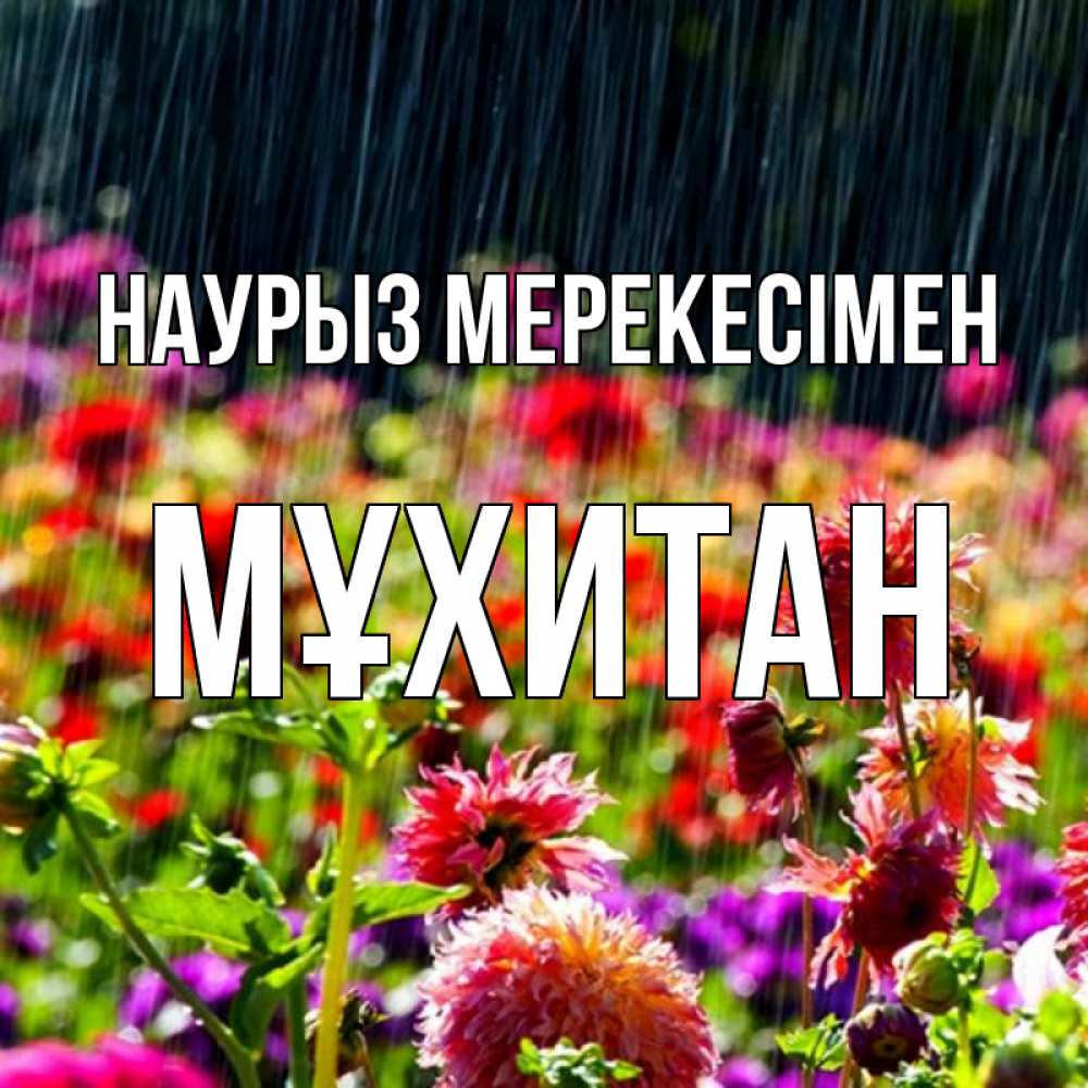 Күн сайын ашық хат с именем, МҰХИТАН Наурыз мерекесімен цветы под дождиком к международному женскому дню Онлайн тегін жүктеп алу тілектері бар керемет карта 