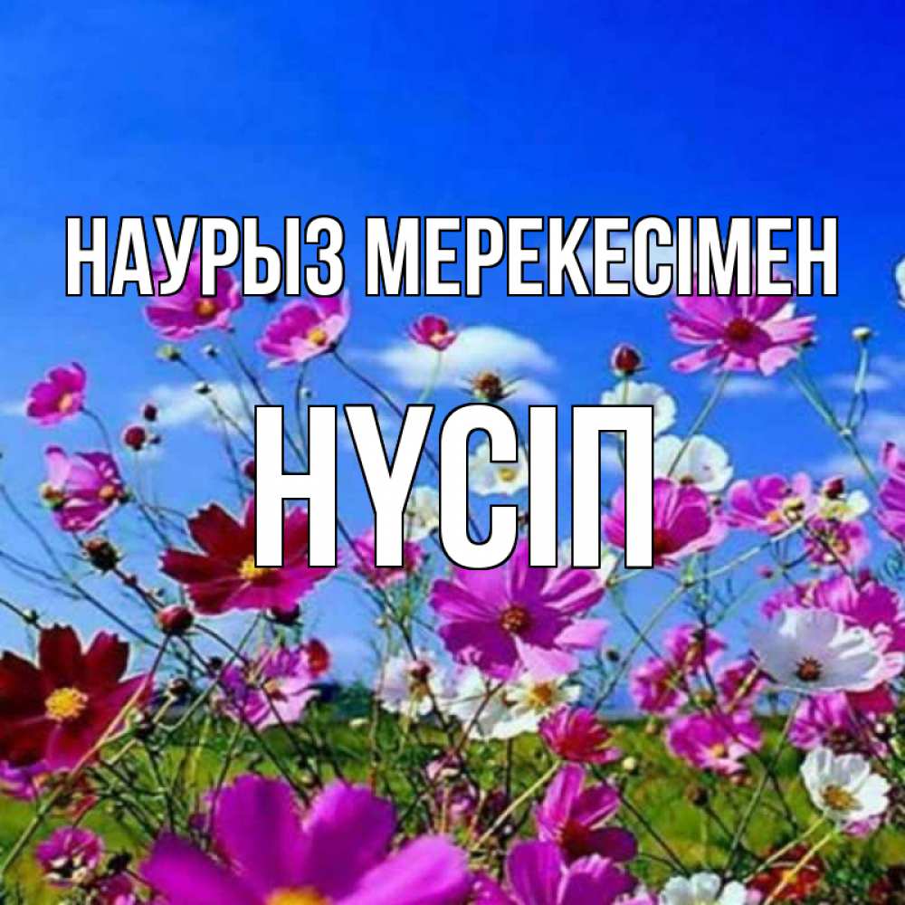 Күн сайын ашық хат с именем, НҮСІП Наурыз мерекесімен цветы Онлайн тегін жүктеп алу тілектері бар керемет карта 