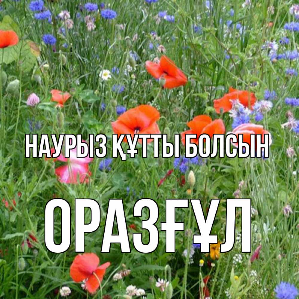 Күн сайын ашық хат с именем, ОРАЗҒҰЛ Наурыз құтты болсын наурыз  4 Онлайн тегін жүктеп алу тілектері бар керемет карта 