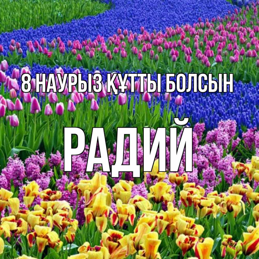 Күн сайын ашық хат с именем, Радий 8 наурыз құтты болсын цветы Онлайн тегін жүктеп алу тілектері бар керемет карта 