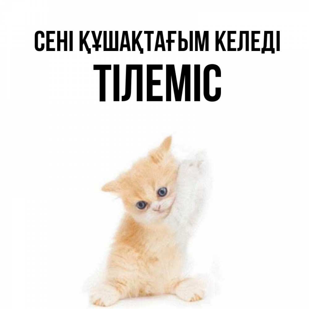 Күн сайын ашық хат с именем, ТІЛЕМІС сені құшақтағым келеді я хочу очень скорее обнимаешек Онлайн тегін жүктеп алу тілектері бар керемет карта 