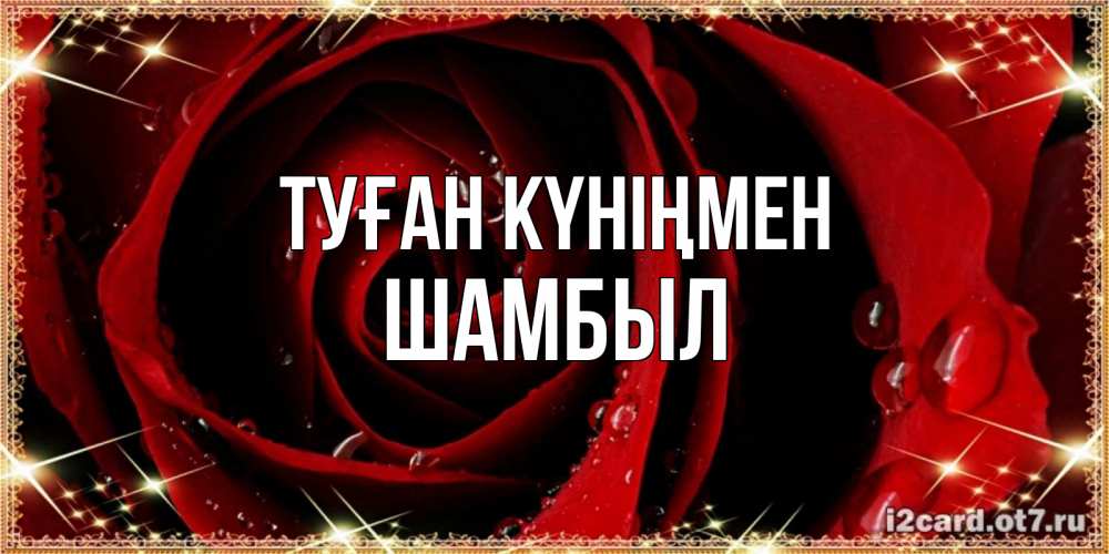 Күн сайын ашық хат с именем, ШАМБЫЛ Туған күніңмен цветок в росе на день рождения Онлайн тегін жүктеп алу тілектері бар керемет карта 