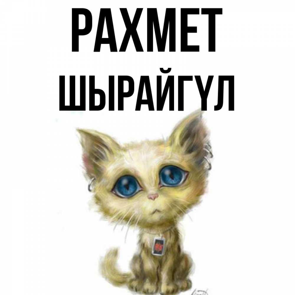 Күн сайын ашық хат с именем, ШЫРАЙГҮЛ рахмет рисованный кот благодарит вас Онлайн тегін жүктеп алу тілектері бар керемет карта 