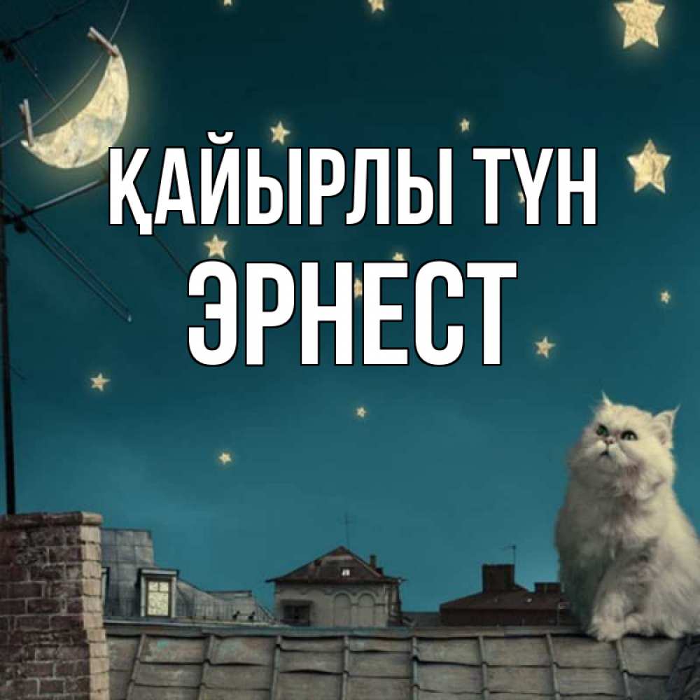 Күн сайын ашық хат с именем, Эрнест Қайырлы түн белый кот сидит на крыше Онлайн тегін жүктеп алу тілектері бар керемет карта 