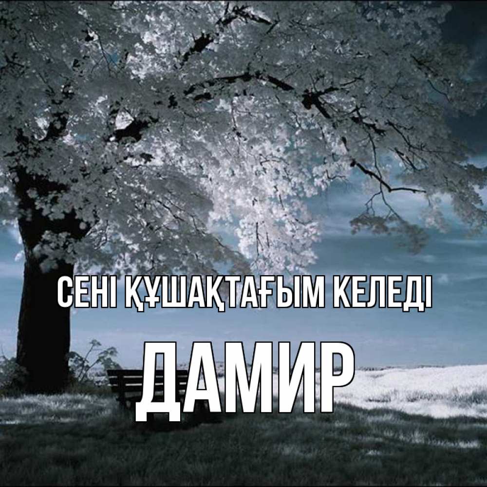 Күн сайын ашық хат с именем, Дамир сені құшақтағым келеді дерево Онлайн тегін жүктеп алу тілектері бар керемет карта 