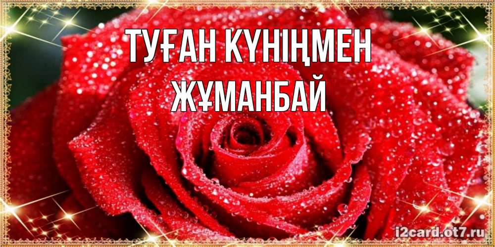 Күн сайын ашық хат с именем, Жұманбай Туған күніңмен роса и роза. открытка с красивой розой Онлайн тегін жүктеп алу тілектері бар керемет карта 
