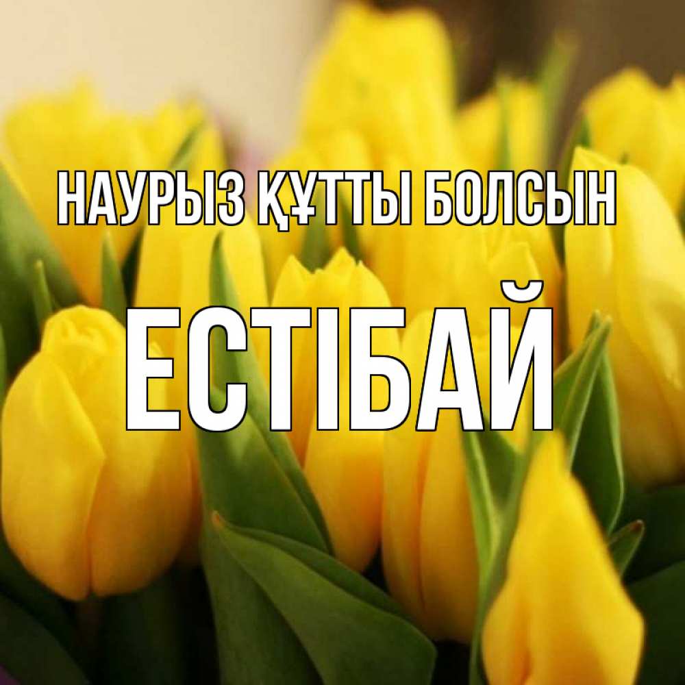 Күн сайын ашық хат с именем, Естібай Наурыз құтты болсын цветы Онлайн тегін жүктеп алу тілектері бар керемет карта 