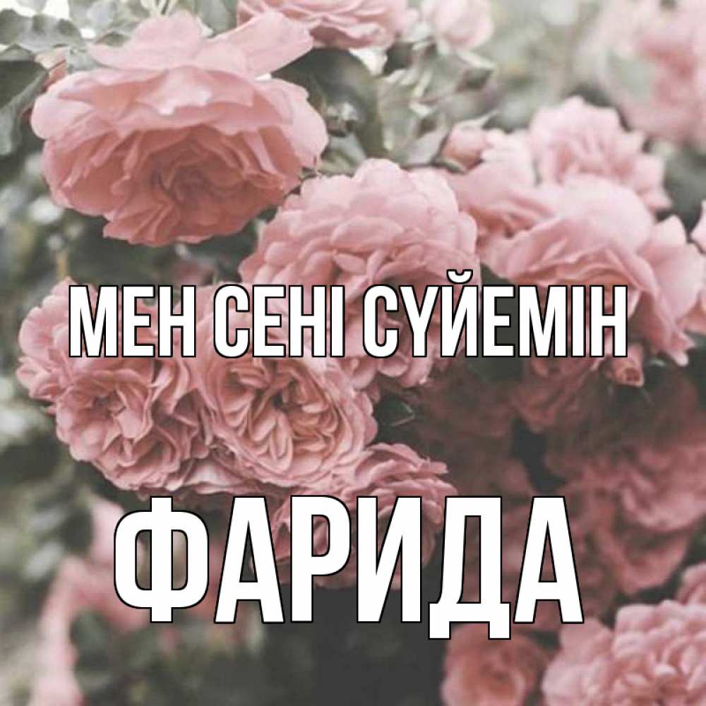 Күн сайын ашық хат с именем, ФАРИДА Мен сені сүйемін розы 3 Онлайн тегін жүктеп алу тілектері бар керемет карта 