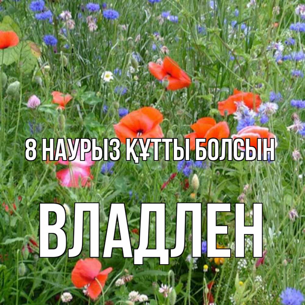 Күн сайын ашық хат с именем, Владлен 8 наурыз құтты болсын международный женский день 4 Онлайн тегін жүктеп алу тілектері бар керемет карта 