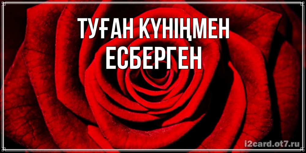 Күн сайын ашық хат с именем, Есберген Туған күніңмен алая роза Онлайн тегін жүктеп алу тілектері бар керемет карта 