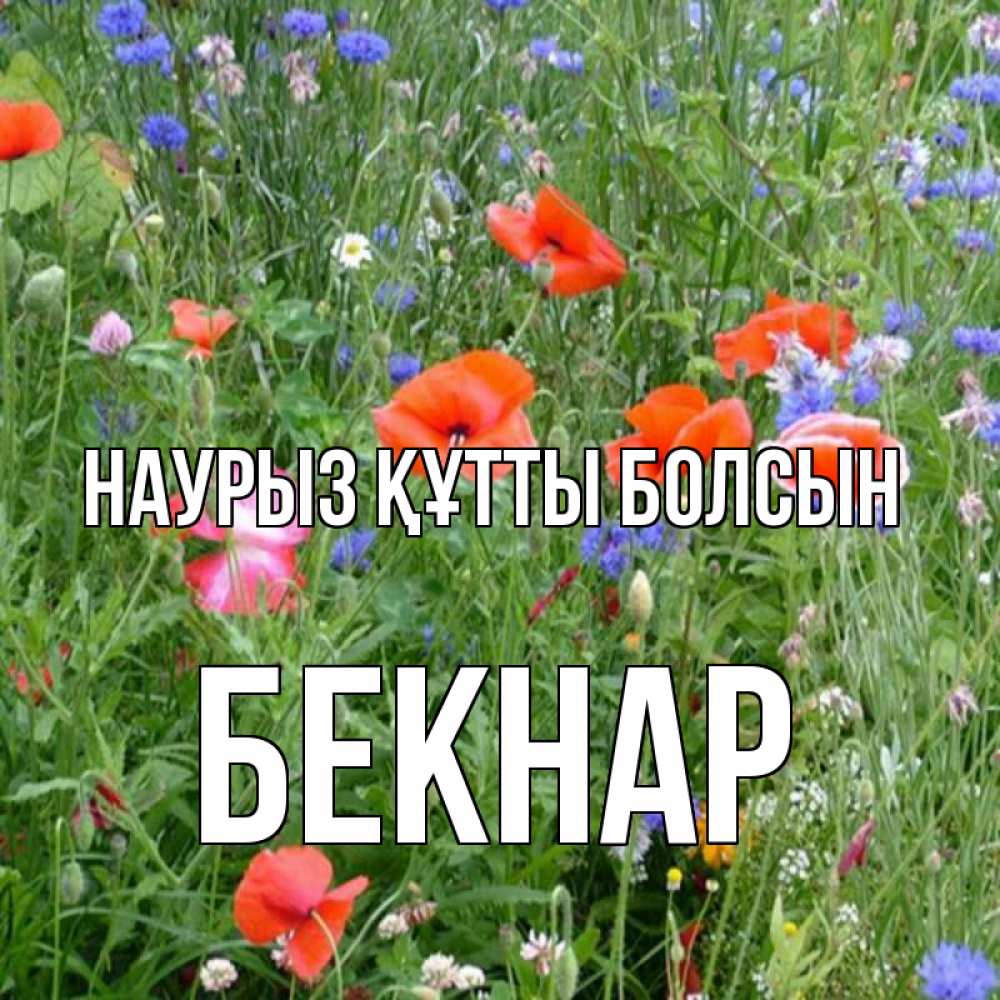 Күн сайын ашық хат с именем, Бекнар Наурыз құтты болсын наурыз  4 Онлайн тегін жүктеп алу тілектері бар керемет карта 