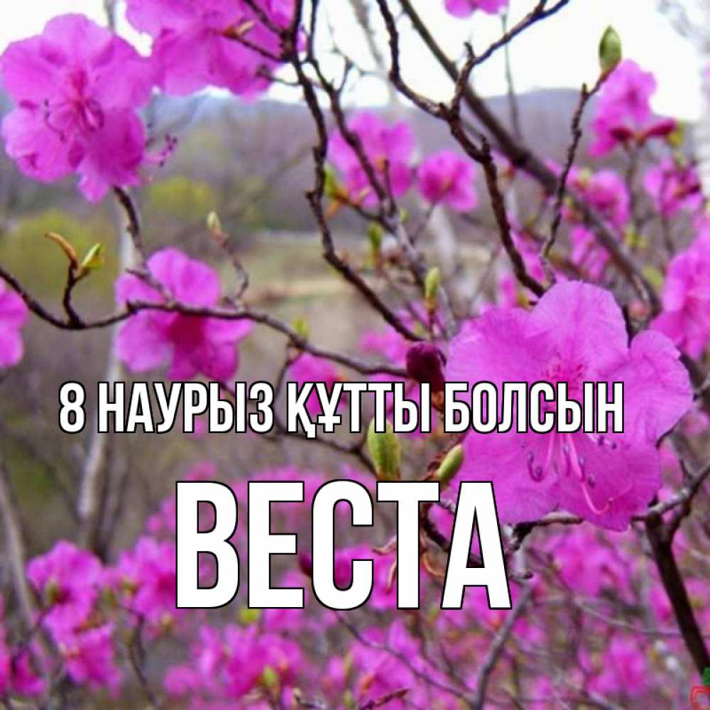 Күн сайын ашық хат с именем, Веста 8 наурыз құтты болсын международный женский день Онлайн тегін жүктеп алу тілектері бар керемет карта 