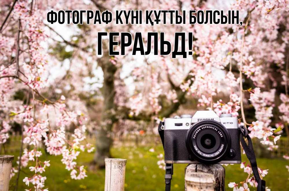 Күн сайын ашық хат с именем, Геральд Фотограф күні құтты болсын сирень с днем фотографа, фотоаппарат Онлайн тегін жүктеп алу тілектері бар керемет карта 