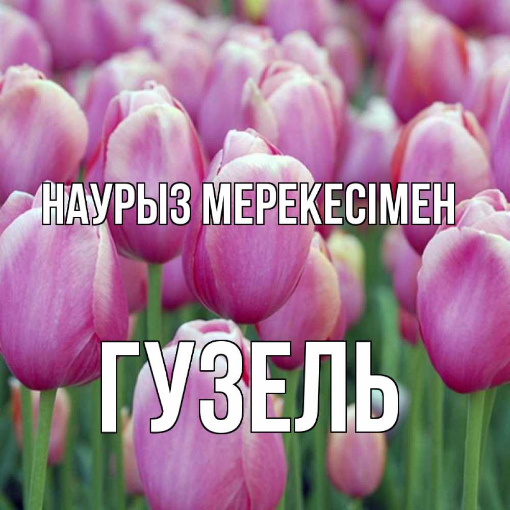 Күн сайын ашық хат с именем, Гузель Наурыз мерекесімен праздник весны наурыз 69 Онлайн тегін жүктеп алу тілектері бар керемет карта 