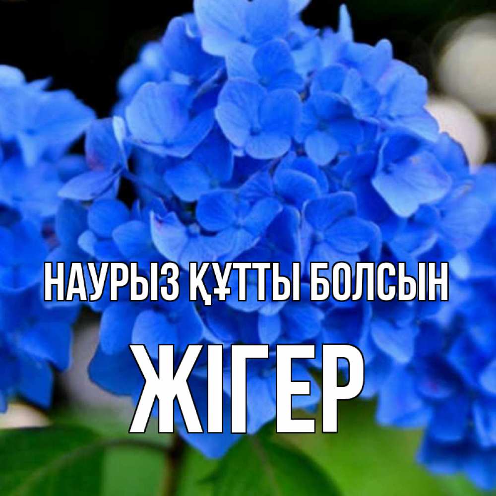 Күн сайын ашық хат с именем, Жігер Наурыз құтты болсын синие цветы Онлайн тегін жүктеп алу тілектері бар керемет карта 
