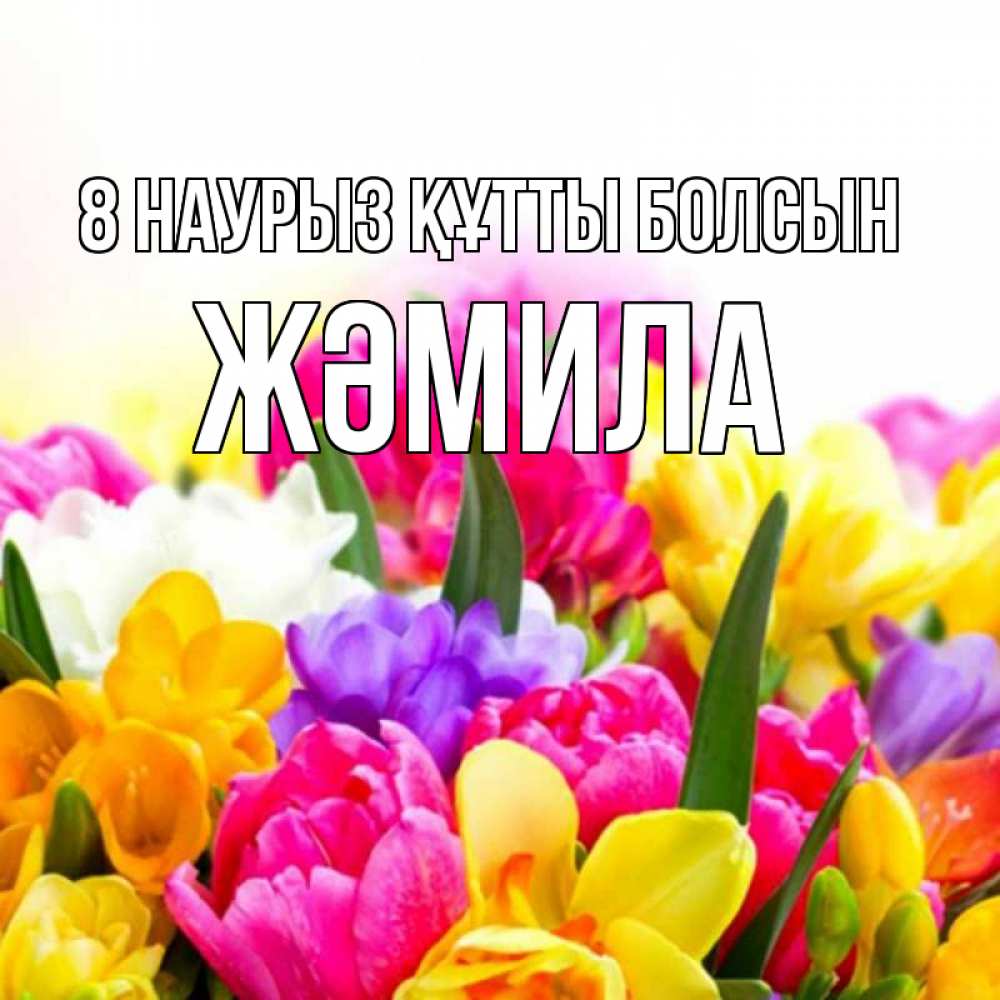 Күн сайын ашық хат с именем, ЖӘМИЛА 8 наурыз құтты болсын тюльпаны Онлайн тегін жүктеп алу тілектері бар керемет карта 