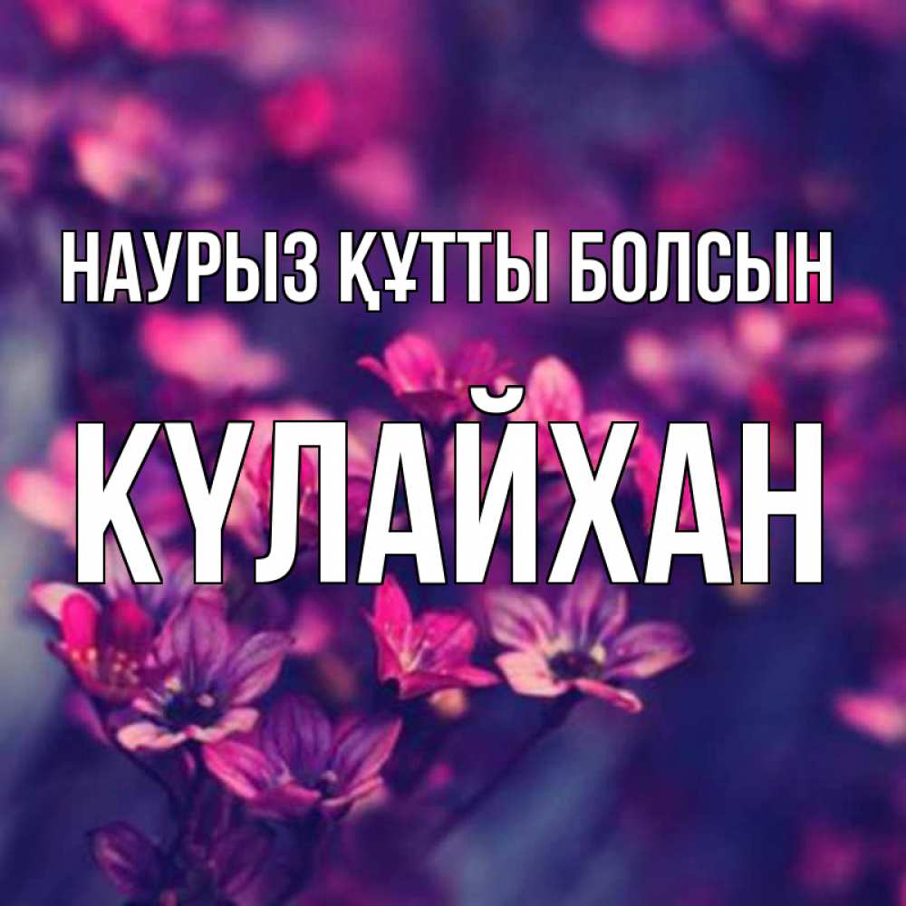 Күн сайын ашық хат с именем, КҮЛАЙХАН Наурыз құтты болсын небольшие цветы 1 Онлайн тегін жүктеп алу тілектері бар керемет карта 