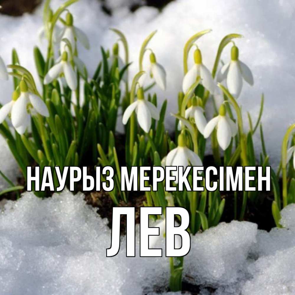 Күн сайын ашық хат с именем, Лев Наурыз мерекесімен цветы весенние Онлайн тегін жүктеп алу тілектері бар керемет карта 